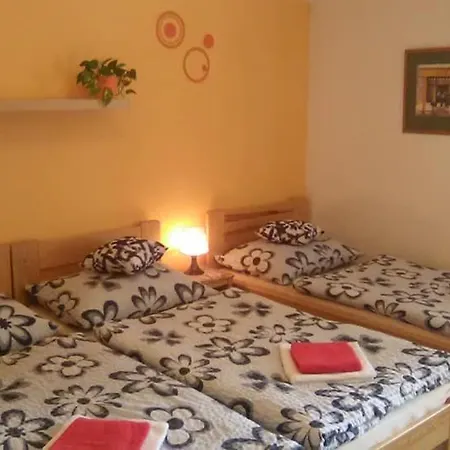 Stastnej Kopec * Destne v Orlickych horach