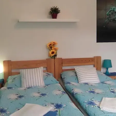Stastnej Kopec Guest house Destne v Orlickych horach