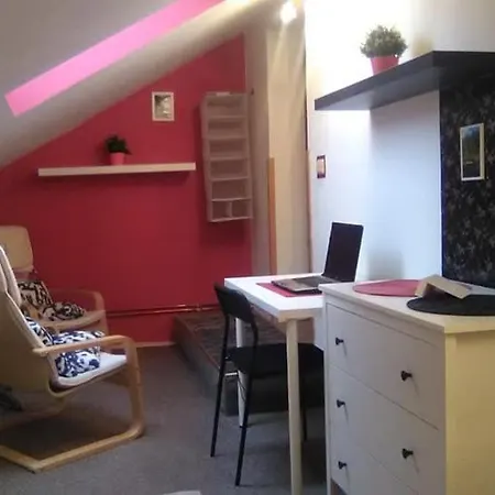 Stastnej Kopec Destne v Orlickych horach